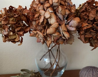 Natural Dried Hydrangea Pampas Grass Bouquet: Chocolate Fall Floral Arrangement