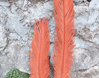 Large Pink-Coral Palm Leaves 35", Organic Tropic Sago Palm Leaf, Pink Living Room Decor, Palm bouquet, Salmon Tall Beach Decor, Wedding Arch