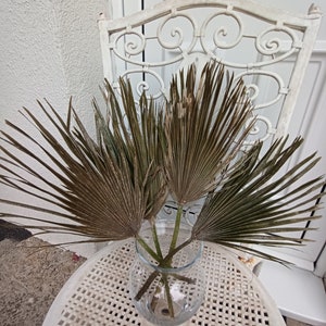 2 Stems Dried Palm Leaves, Organic Tropical Fan Palm Leaf, Natural Dry Home Table Decor, Wedding Tropic Bouquet, Beach Decor, Palm Event