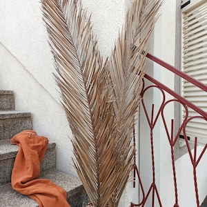 2 Natural Dried Date Palm Leaves 4,0Ft, Milk Chocolate Dust Tone, Fall Luxury Palm Design Brown Palm Backdrop, Tropical Beach Wedding, Gift