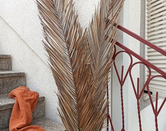 2 Dried Date Palm Leaves: Chocolate Tone, Boho Wedding Decor (4,0Ft)