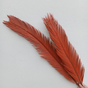 Fall Dried Palm Leaves 40&quot;, Organic Tropic Sago Palm Leaf, Natural Dry Room Decor, Boho Wedding, Tropic Bouquet, Boho Wedding, Palm Arch