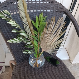 MIX 4Stems Dried Palms, Olive, Tea Tree Branch, Organic Tropical Bunch, Natural Dry Home Decor, Wedding Tropic Bouquet, Event Centerpiece