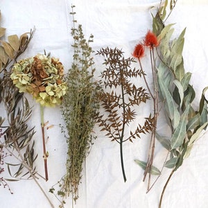 DIY getrocknete Zweige, DIY getrocknete Wildblumen, DIY natürliche Trockenblumen Bouquet, Wendekreis Pflanzendekor, trockene Waldblumen für Wohnzimmer, hohe Vase