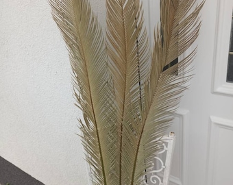 Large Dried Sago Palm Leaves (47 Inch): Tropical Boho Decor, 2 Stems