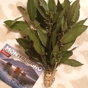 May include: A bunch of fresh green bay leaves tied together with twine. The leaves are arranged in a bouquet shape. A postcard with the text "MONTENEGRO" and "Perast" is in the background.
