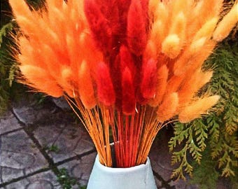 Terracotta Orange Bunny Tail Bouquet (60 Stems): Fall Boho Decor