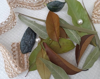 Natural Dried Tropical Leaves, Eucalyptus, Palm, Laurel, Boho Decor