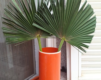 Natural Green Painted Dried Palm Leaf: Tropical Wedding Boho Decor