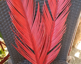 Red Dried Sago Palm Leaf (22"): Boho Wedding Decor