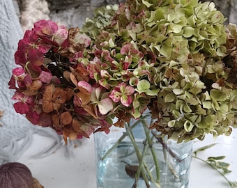 3 St. Herbst natürliche getrocknete antike Hortensie, erdiger Ton, Tischdekoration, trockene Blumengesteck, Hochzeit im Herbst, Hortensienstrauß, Weihnachten