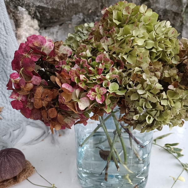 3 St Fall Natural Dried Antique Hydrangea, Earthy Tone, Table Decor, Dry Floral Home Arrangement, Fall Wedding, Hydrangea Bouquet, Christmas