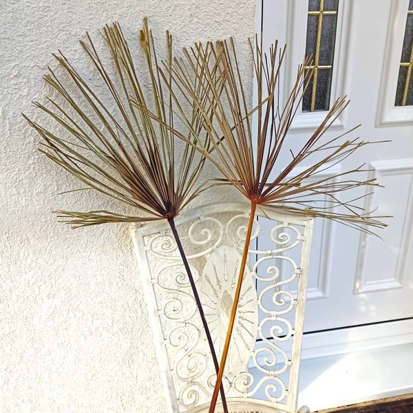 NATÜRLICHE PALMBLÄTTER 40 ", sonnengetrocknete Palmwedel, natürliche Blätter natürliche trockene Palme, tropisches Hochzeitsdekor, Boho-Hochzeitsbogen, Palmenfächer