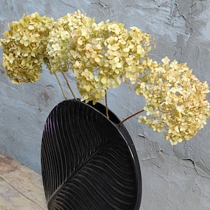 3 Stems Natural Dried Antique Hydrangea, Old Green Tone, Organic Hydrangeas, Dry Floral Home Arrangements, Wedding Decor, Hydrangea Bouquet