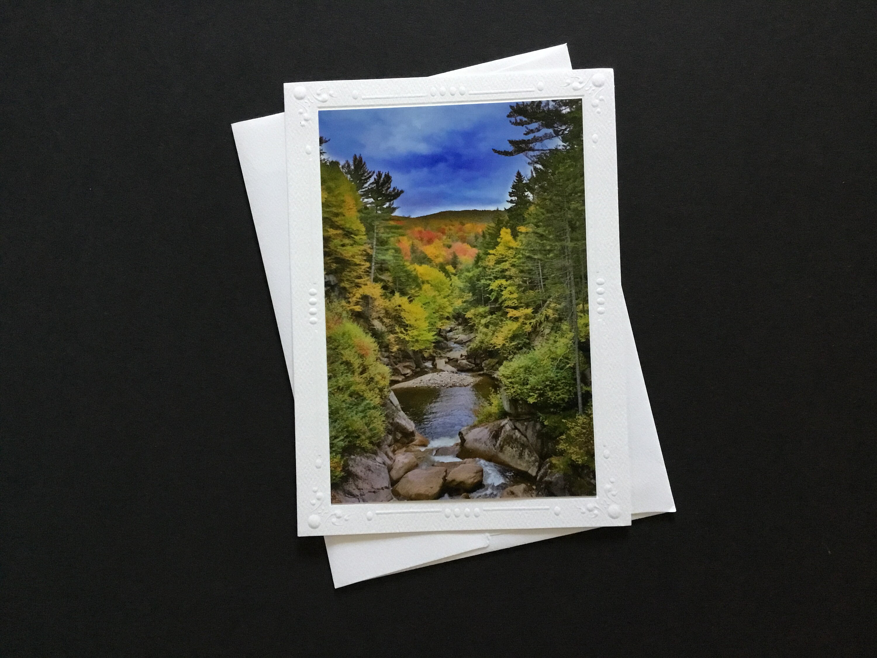 7 Colorful Nature Note Cards with Envelopes 5 x 7 Blank Etsy