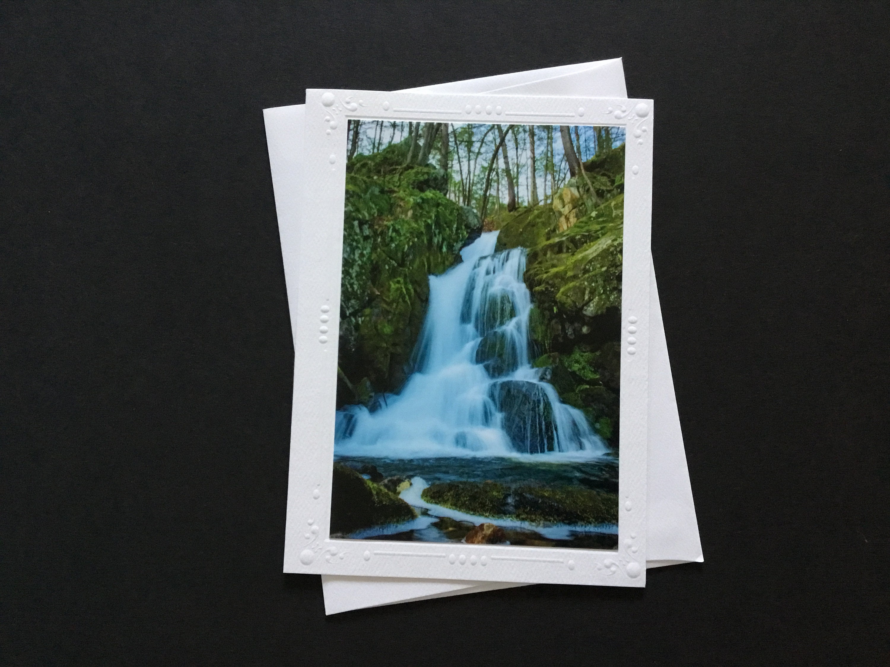 7 Colorful Nature Note Cards with Envelopes 5 x 7 Blank Etsy