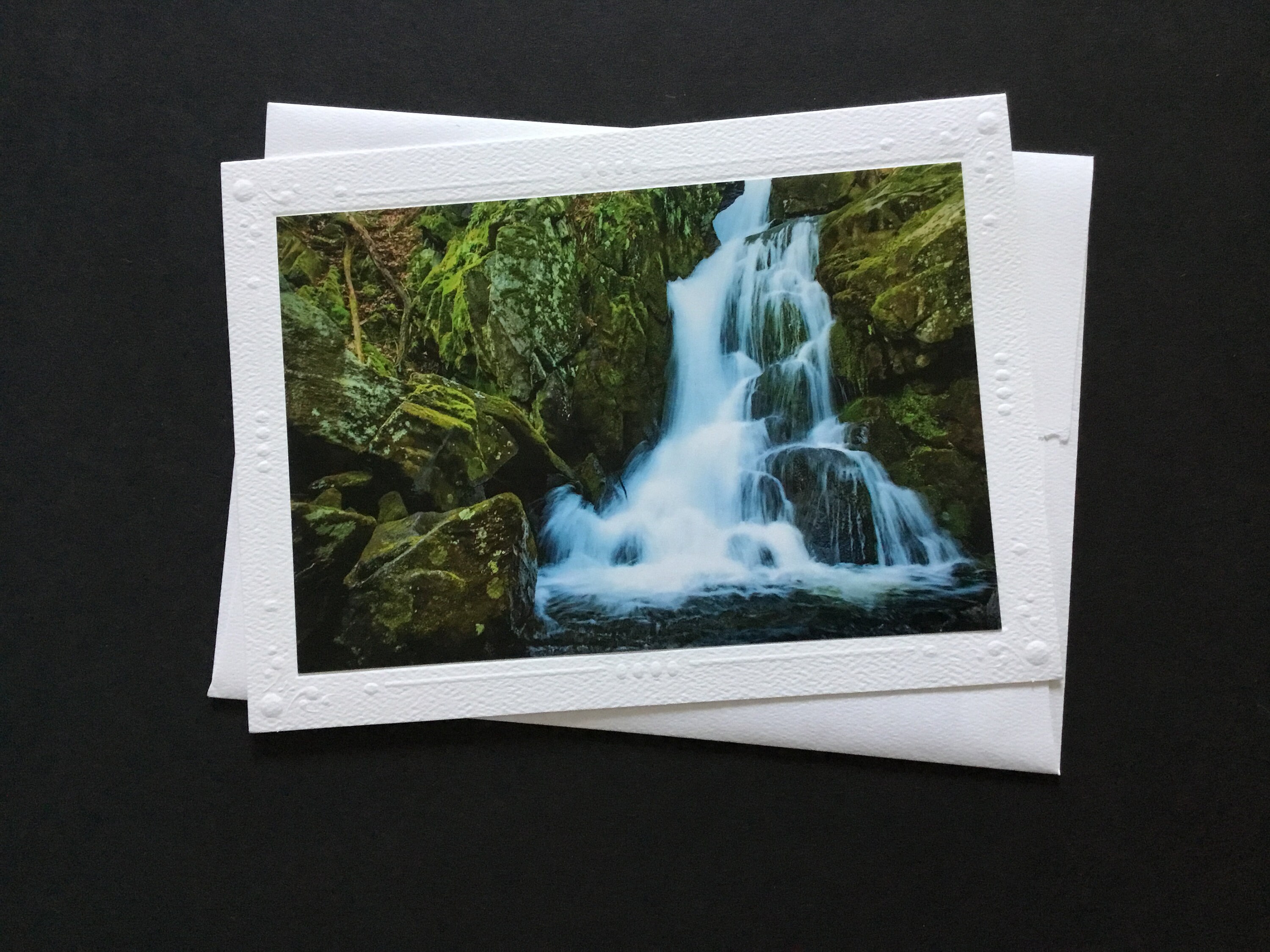 7 Colorful Nature Note Cards with Envelopes 5 x 7 Blank Etsy