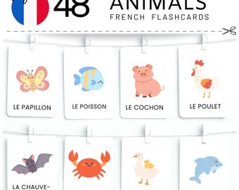 Franse dieren- en insectenflashcards, afdrukbaar voor kinderen (48 kaarten)