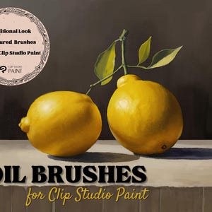 Clip Studio Paint Brushes, Traditional Art Brushes, Textured Brushes, Painterly Brushes, Oil Painting Brushes, Clip Studio Brushes, Canvas