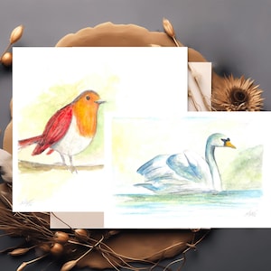 Juego de 2 postales. Acuarelas originales. Cisne y Petirrojo