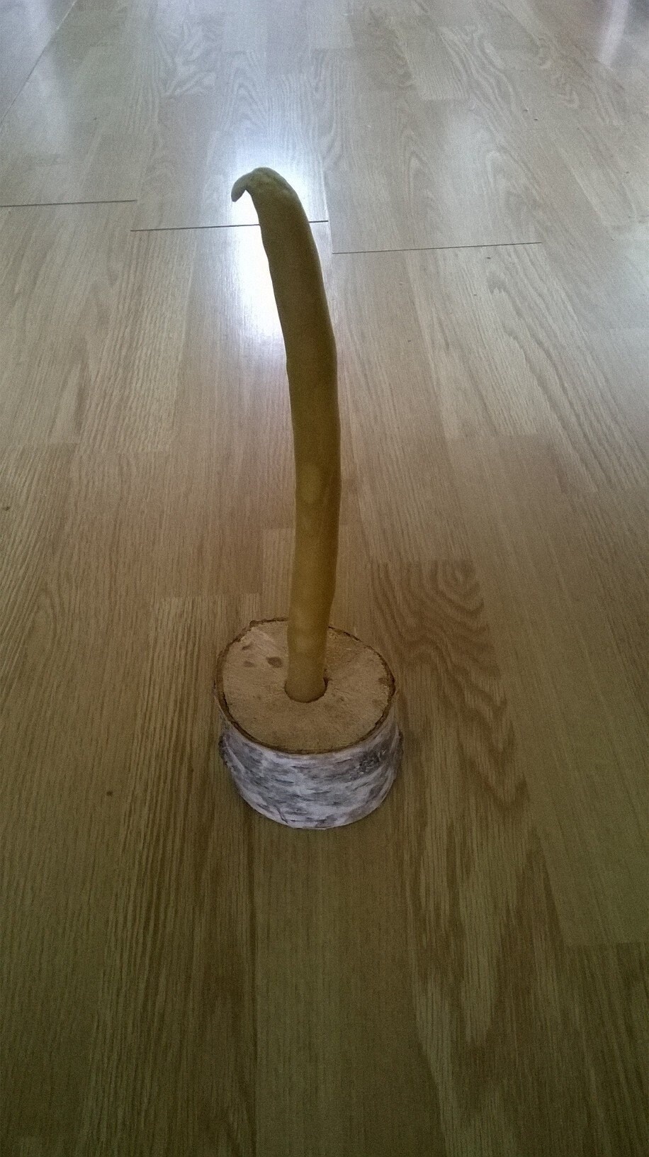 Bougie Médiévale en Cire d'abeille Réalisée à La Trempe