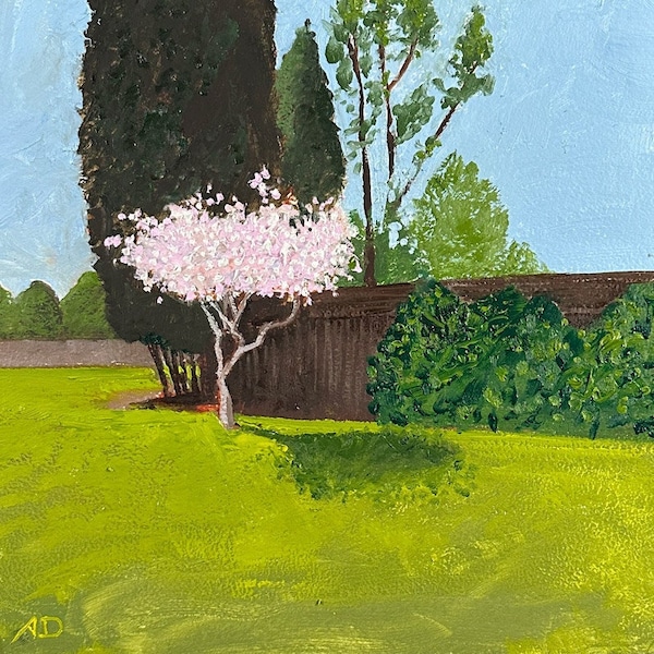 Sunlight Tree Blossoms original oil painting on cradled birch panel by Artist Andrew Dorn