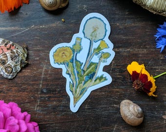 Dandelion water resistant sticker
