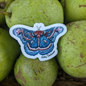 Cecropia Moth Water Resistant Sticker - Hyalophora Cecropia, Blue Moth sticker for water bottle, laptop or journal