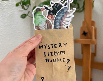 Mystery Sticker Pack | 3 Aufkleber