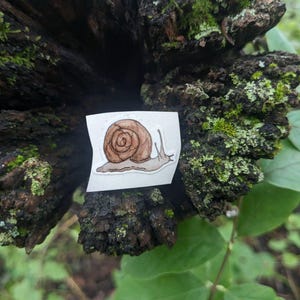 Tiny Snail Journaling Sticker, Cottagecore sticker