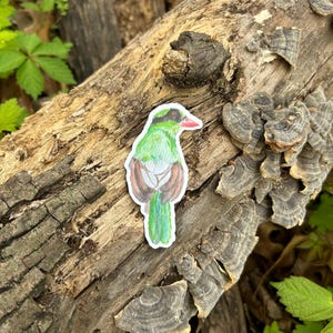 May include: A sticker depicting a green bird with brown wings and a red beak, placed on a weathered log. The bird has a white outline, and the log is covered in bark and fungi. Green foliage is visible in the background.