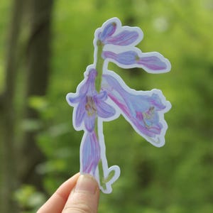 Peut inclure: Autocollant représentant une fleur de jacinthe des bois avec des pétales violets et roses et une tige verte. L'autocollant est tenu devant un arrière-plan flou vert d'arbres.