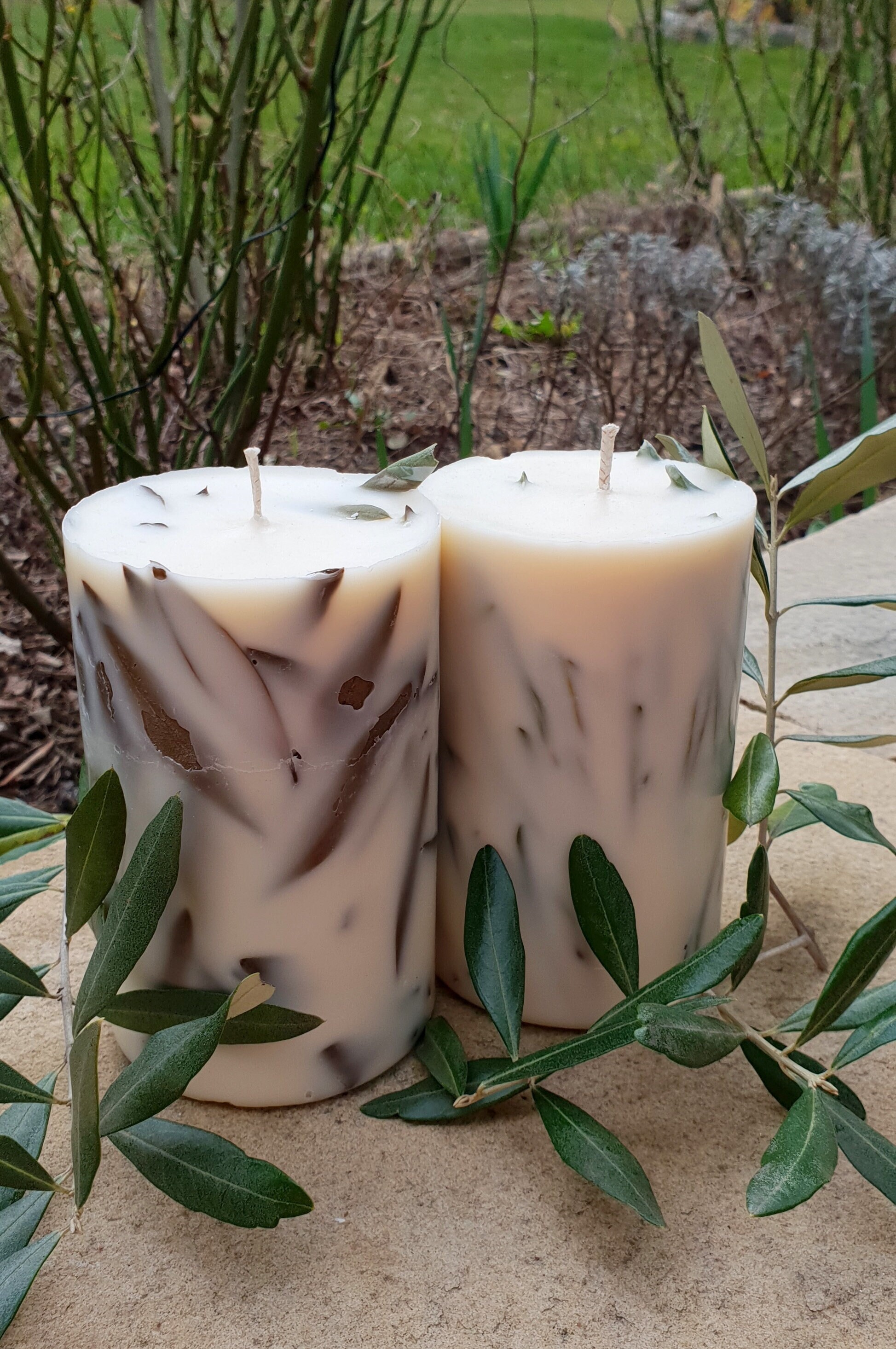 Colonne Végatale - Bougie Végétale Olivier