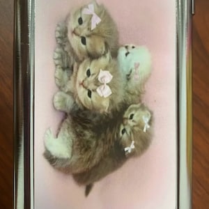 Puede incluir: Una cajetilla de cigarrillos plateada con un fondo rosa y una imagen de tres gatitos con lazos rosas. Los gatitos son marrones y blancos.
