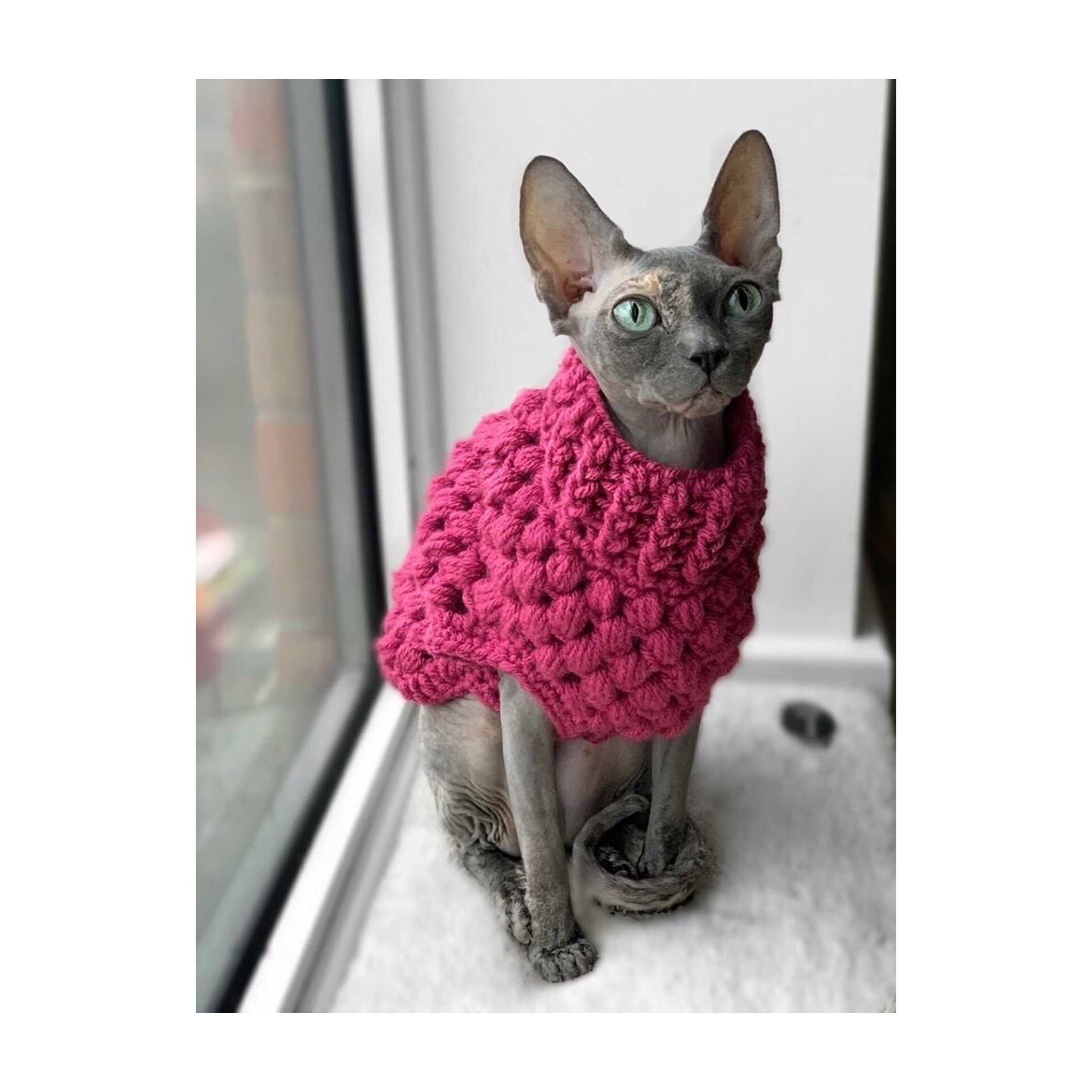 Cat jumpers ukBobble cat jumpercrotchet cat clothessphynx Etsy