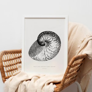 beach house decor nautilus shell art