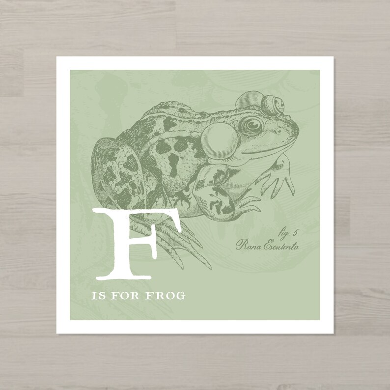 F is for Frog Print | Etsy