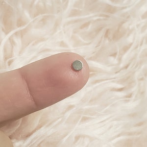 May include: A small, round, silver-colored magnet.