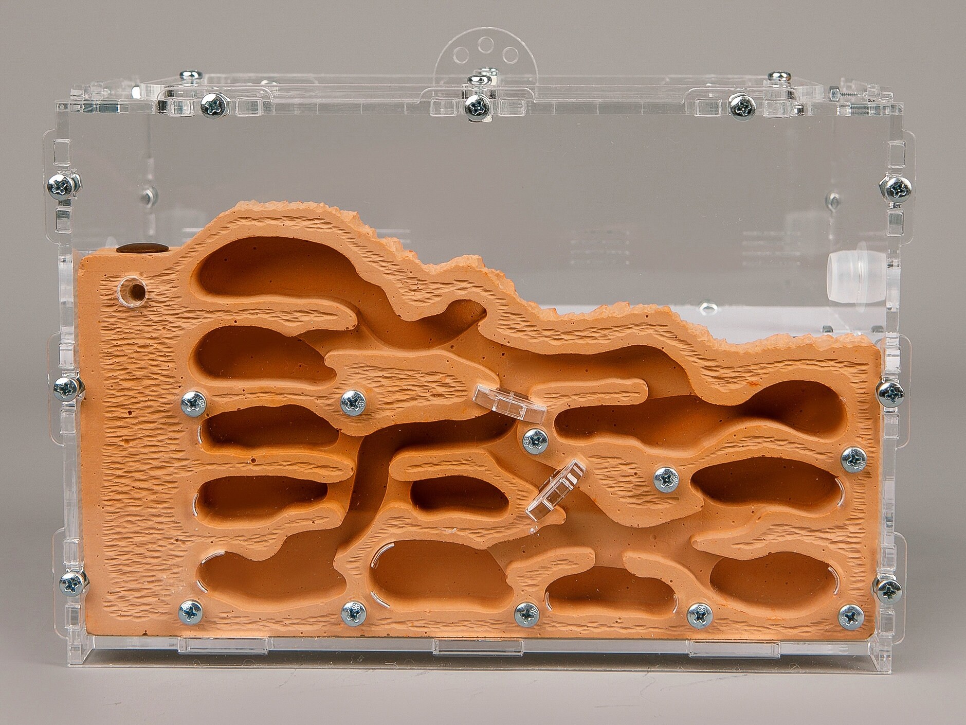 Ameisenfarm Schloss - Transparentes Beobachtungsnest Für Ameisenkolonien