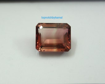 Bi-Color Tourmaline Gemstone: 17.81ct Octagon Faceted Stone