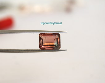 Bi-Color Tourmaline: Natural Octagon Faceted Gemstone (4.02ct)
