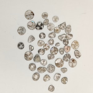 Natural Salt and Pepper Diamond Slices, Gray Diamond Loose Slices