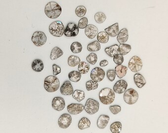 May include: A collection of small, round, white and gray stones with a sparkly, iridescent finish. The stones are scattered on a white surface.