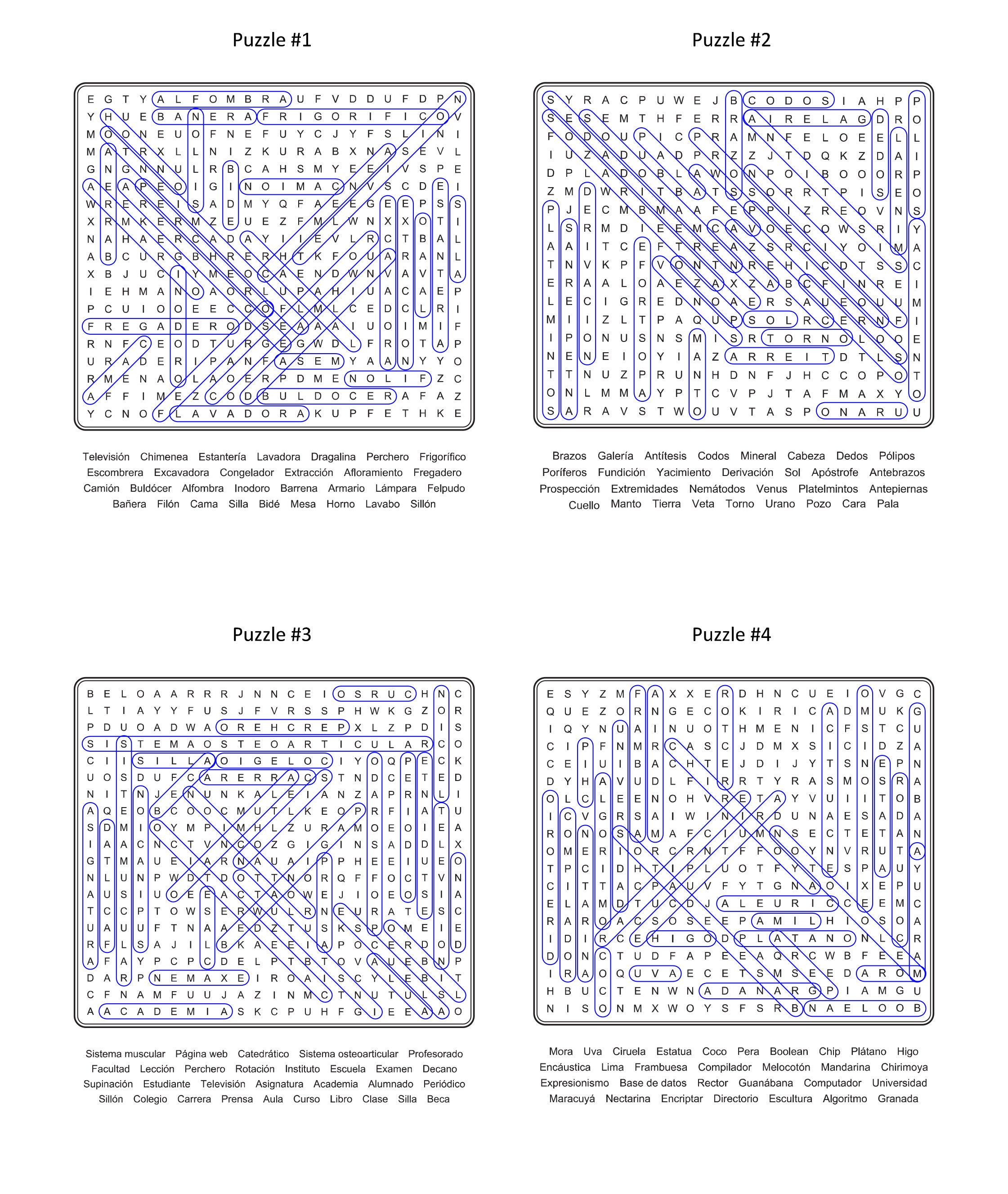 Spanish Word Search Large Print Book for Adult Sopas De Letras En ...