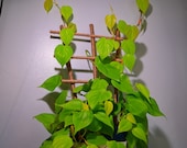 Jute Twine Wrapped Bamboo Indoor Plant Ladder Style Trellis - 18