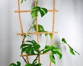36 Jute Twine Wrapped Bamboo Ladder Style Indoor Plant Trellis