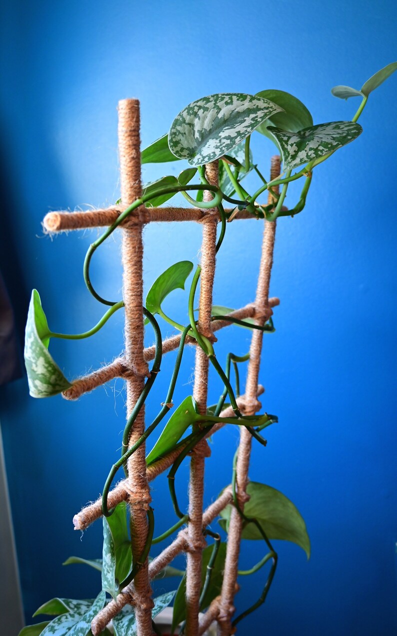 Jute Twine Wrapped Bamboo Indoor Plant Ladder Style Trellis Etsy