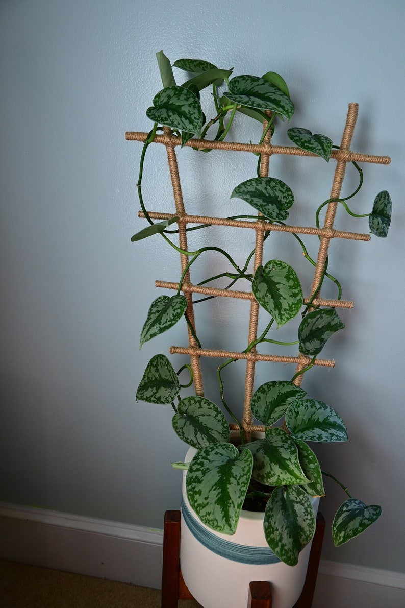 Jute Twine Wrapped Bamboo Indoor Plant Ladder Style Trellis Etsy
