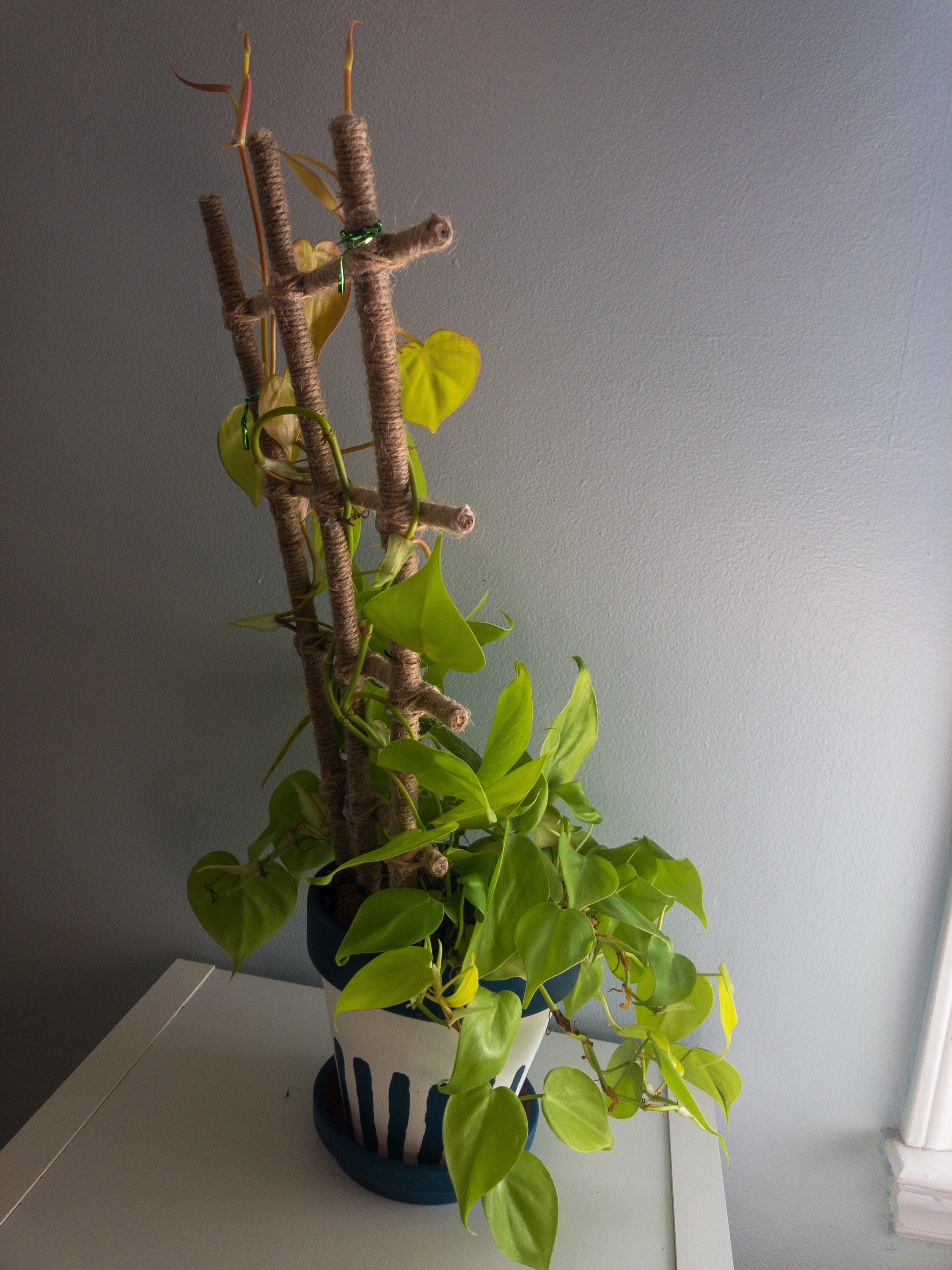 Jute Twine Wrapped Bamboo Indoor Plant Ladder Style Trellis Etsy