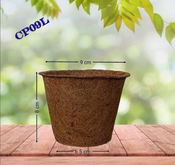 3 Coir Potscoco Coir Seed Starter Potsbiodegradable Coco - Etsy
